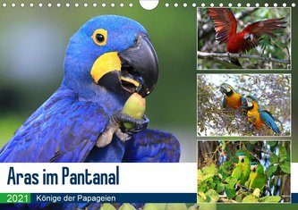 Aras im Pantanal (Wandkalender 2021 DIN A4 quer)