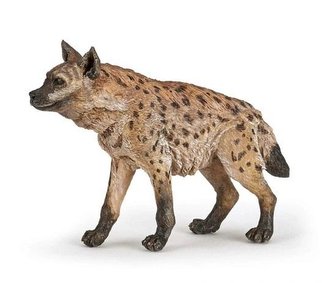 Hyena