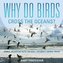 Why Do Birds Cross the Oceans? Animal Migration Facts for Kids | Children's Animal Books