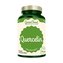 GreenFood nutrition - Quercetin 95% 90 vegán kapsúl