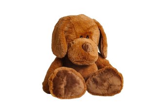 Piesek Bull Terrier 45cm MOLLI TOYS