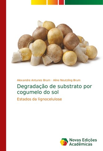 Degradação de substrato por cogumelo do sol