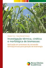 Investigação térmica, cinética e morfológica de biomassas
