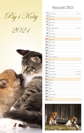 Kalendarz 2021 Psy i Koty 13 pasek RADWAN