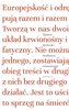 Szukanie równowagi. Szkice literackie i...