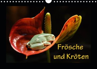 Fr?sche und Kr?ten (Wandkalender 2019 DIN A4 quer)