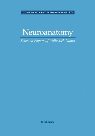 Neuroanatomy