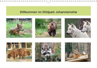 Willkommen im Wildpark Johannismühle (Wandkalender 2021 DIN A3 quer)