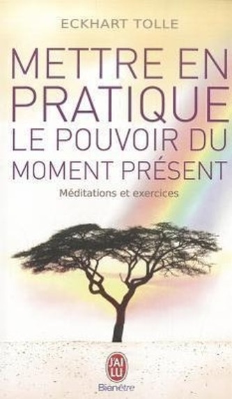 Mettre en pratique le pouvoir du moment présent : Enseignements essentiels, méditations et exercices pour jouir d'une vie libéré