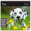 Kalendarz 2021 30x30 Psy HELMA