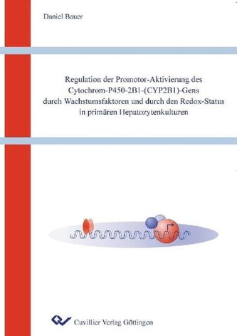 Regulation der Promoter-Aktivierung des Cytochrom-P450-2B1-(CYP2B1)-Gens durch Wachstumsfaktoren und durch den Redox-Status in p