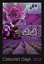 Kalendář nástěnný 2018 - Coloured Days