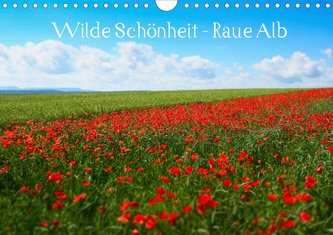 Wilde Schönheit - Raue Alb (Wandkalender 2020 DIN A4 quer)