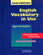 English Vocabulary in Use: Upper-Intermediate: Edition with answers