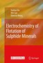 Electrochemistry of Flotation of Sulphide Minerals