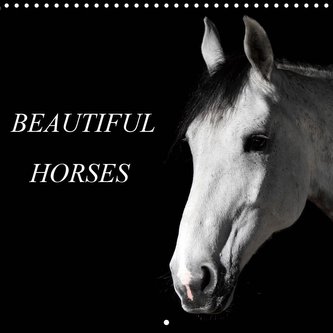 BEAUTIFUL HORSES (Wall Calendar 2021 300 × 300 mm Square)