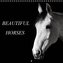 BEAUTIFUL HORSES (Wall Calendar 2021 300 × 300 mm Square)