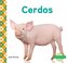 Cerdos (Pigs) (Spanish Version)
