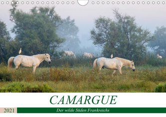 Camargue - Der wilde Süden Frankreichs (Wandkalender 2021 DIN A4 quer)