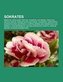 Sokrates