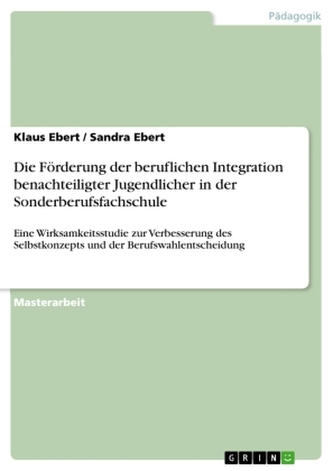 Die Förderung der beruflichen Integration benachteiligter Jugendlicher in der Sonderberufsfachschule Die Förderung der beruflichen Integration benachteiligter Jugendlicher in der Sonderberufsfachschule