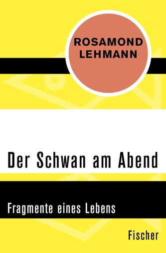 Der Schwan am Abend