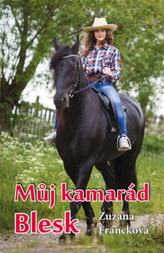 Můj kamarád Blesk