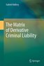 The Matrix of Derivative Criminal Liability