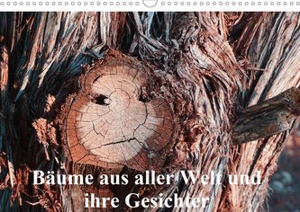 Bäume aus aller Welt und ihre Gesichter (Wandkalender 2021 DIN A3 quer)