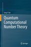 Quantum Computational Number Theory