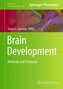 Brain Development