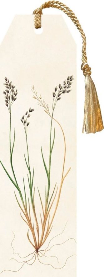 Zakładka 12 ze wstążką Flora danica