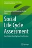Social Life Cycle Assessment