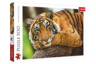 Puzzle Portrét tigra 500 dielikov 48x34cm v krabici 40x27x4, 5cm