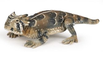 Ropušník tŕnohlavý