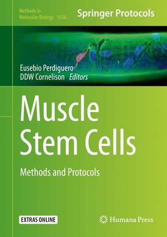 Muscle Stem Cells