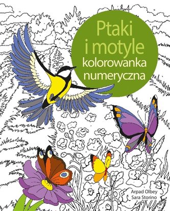 Ptaki i motyle. Koloruj według numerów Ptaki i motyle. Koloruj według numerów