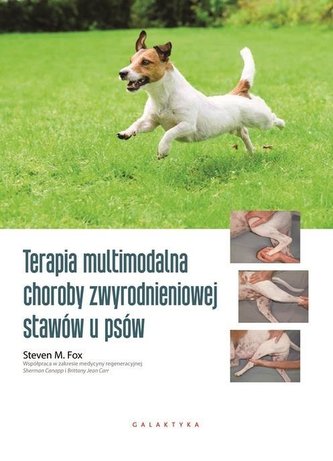 Terapia multimodalna choroby zwyrodnieniowej...