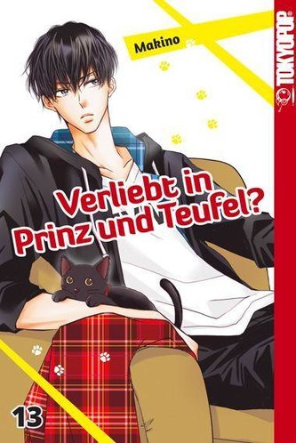 Verliebt in Prinz und Teufel? 13