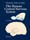 The Human Central Nervous System