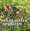 Wilde Wiesen gestalten