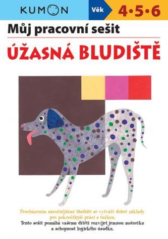 Úžasná bludiště - Můj pracovní sešit Úžasná bludiště - Můj pracovní sešit