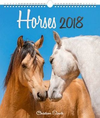 Koně 2018 - nástěnný kalendář