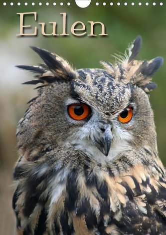 Eulen (Wandkalender 2021 DIN A4 hoch)
