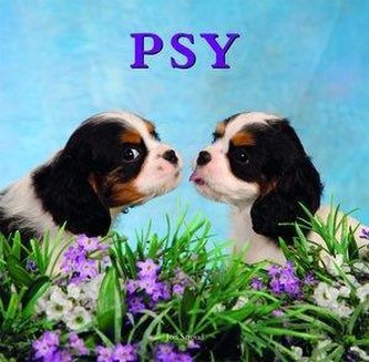 Psy w. 2012 BR