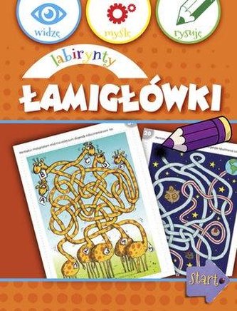 Widzę, myślę, rysuję. Labirynty łamigłówki