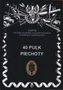 40 Pułk Piechoty