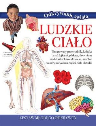 Zestaw młodego odkrywcy. Ludzkie ciało