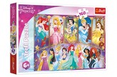 Puzzle Portréty princezien Disney 41x27, 5cm 160 dielikov v krabici 29x19x4cm