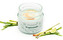 Tropikalia Tropicandle - Lemongrass & ginger
